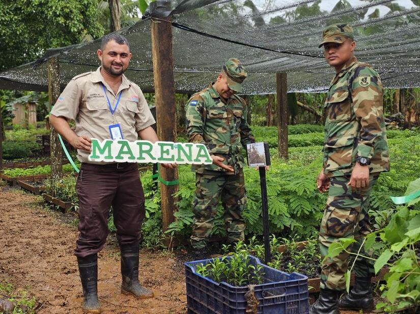 Vivero-en-Nueva-Guinea-3