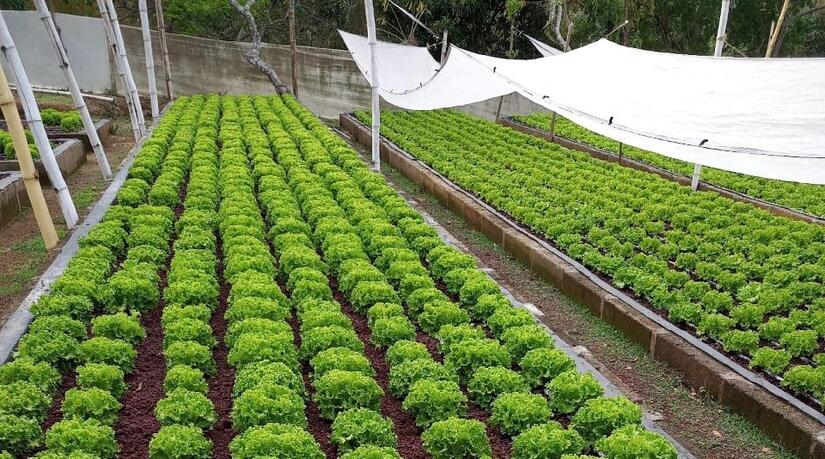 Ministerio-Agropecuario-1