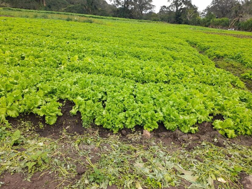 Ministerio-Agropecuario-2