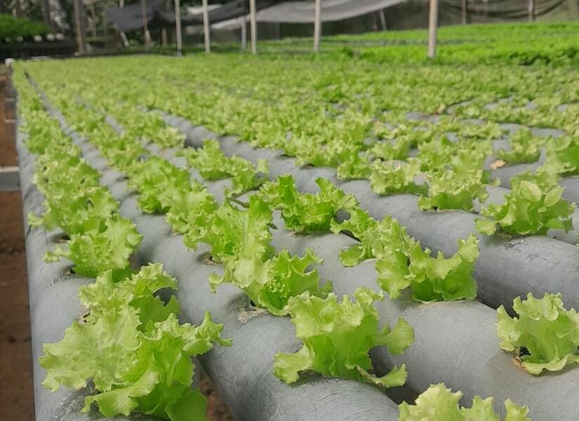 Ministerio-Agropecuario-3