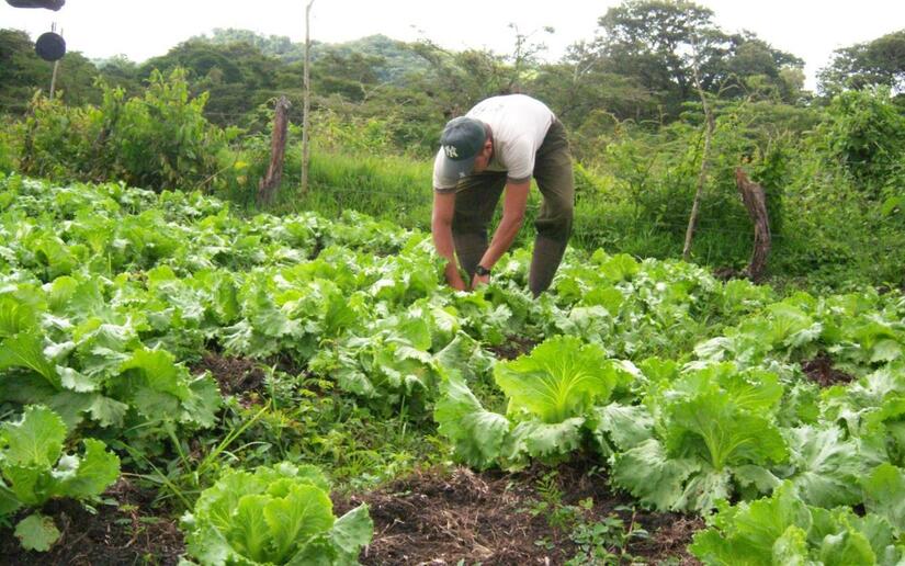 Ministerio-Agropecuario-4