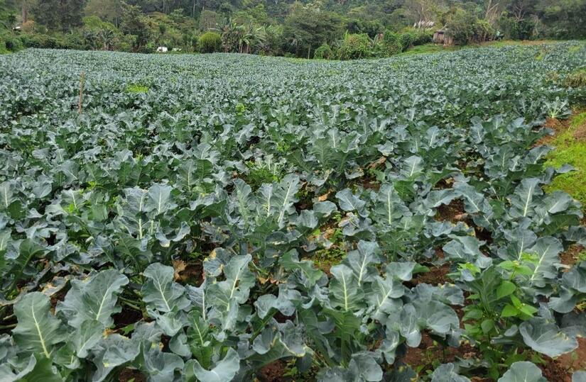 Ministerio-Agropecuario-5