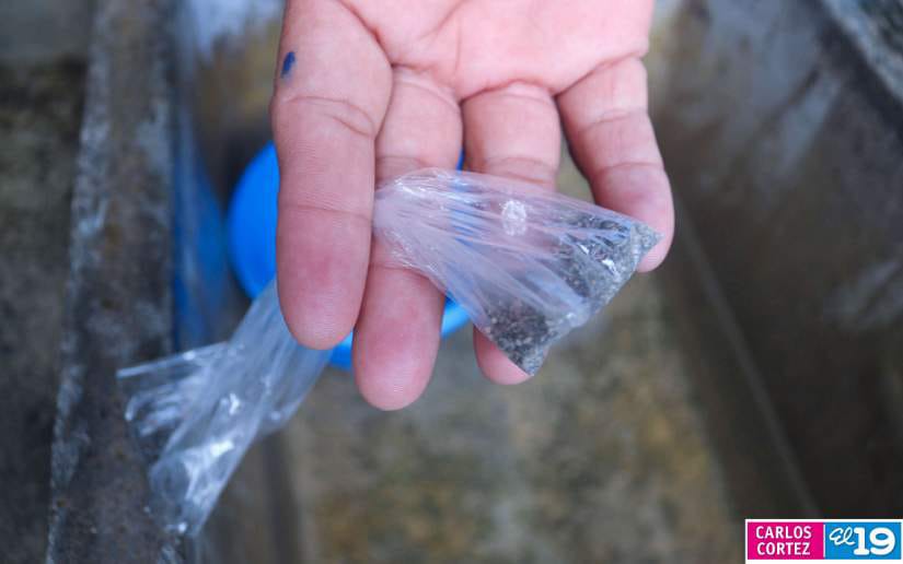 FUMIGACION-BARRIO-EL-RECREO-8