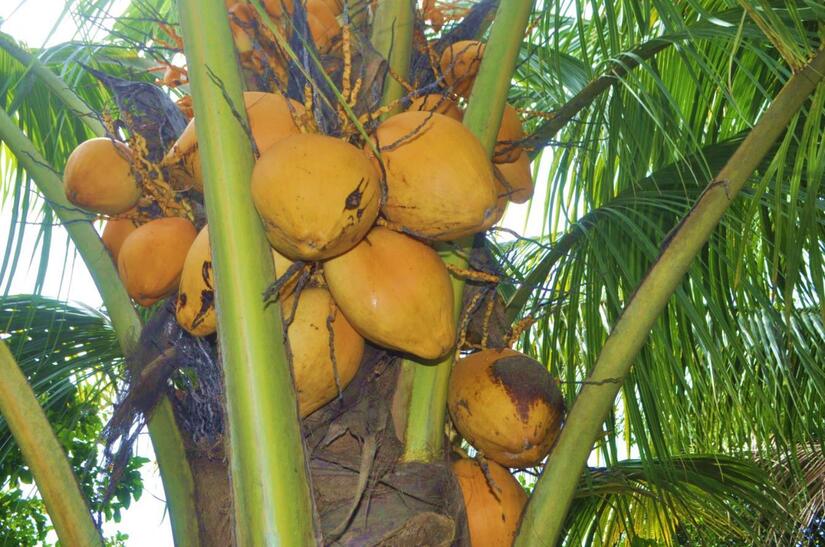 Ministerio-Agropecuario-2