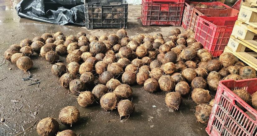 Ministerio-Agropecuario-3