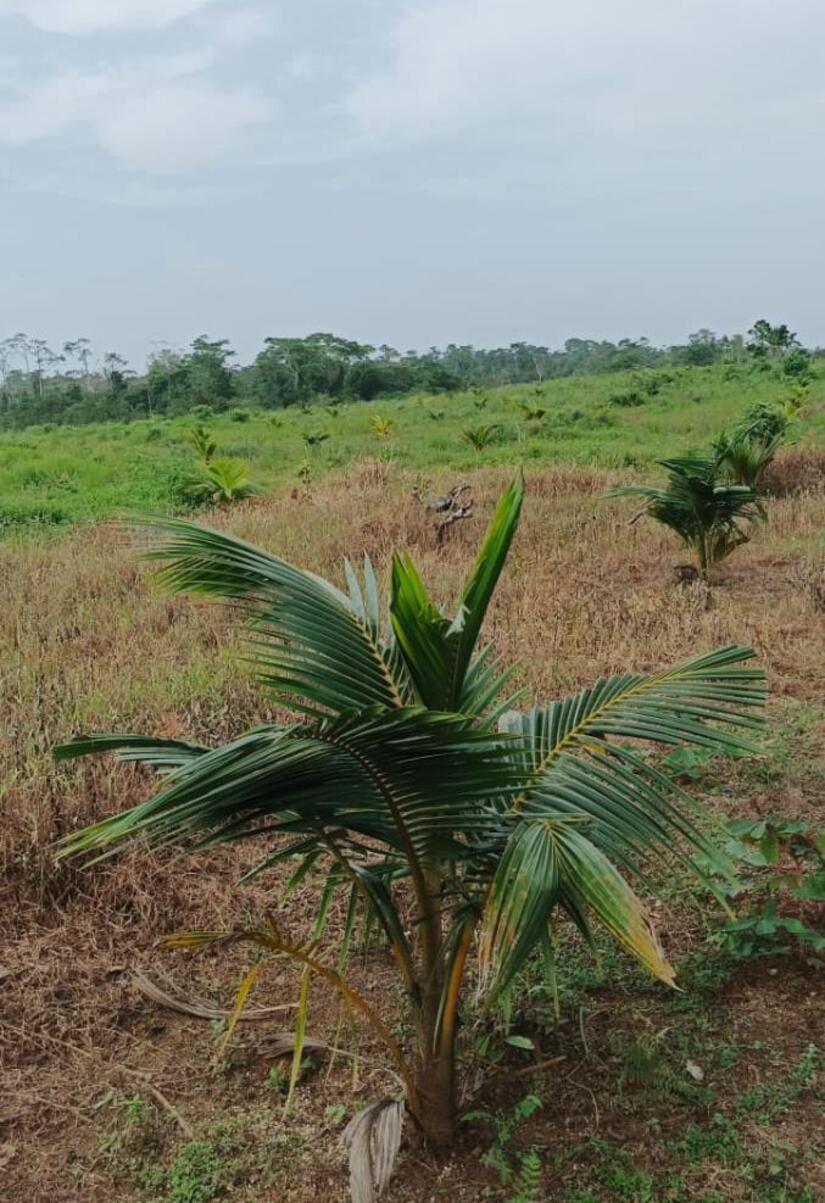 Ministerio-Agropecuario-4