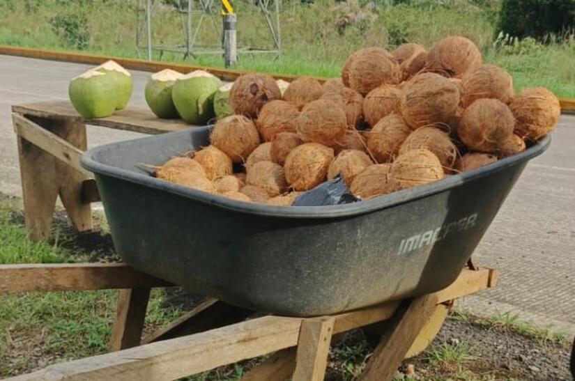 Ministerio-Agropecuario-5