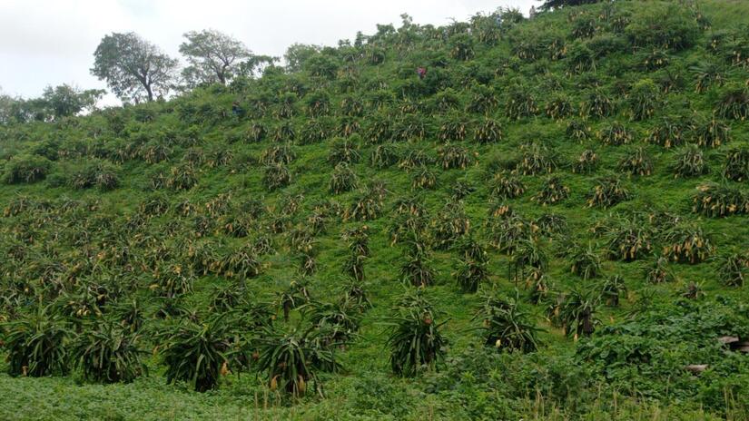 Ministerio-Agropecuario-2