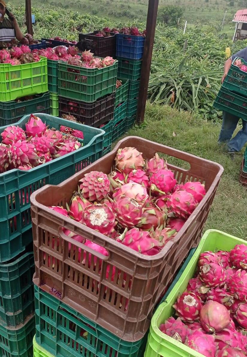 Ministerio-Agropecuario-3