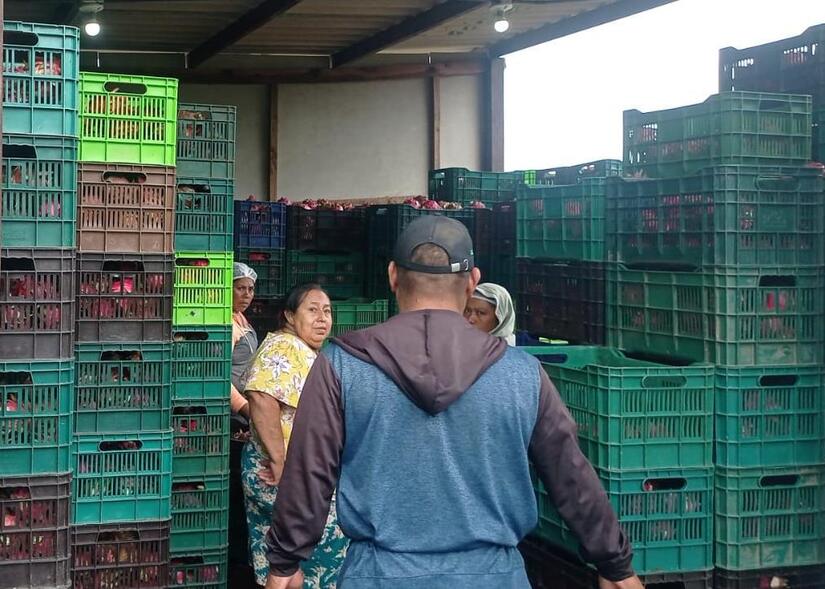 Ministerio-Agropecuario-4