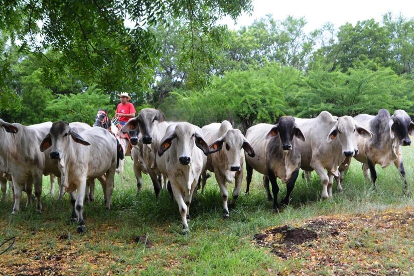 Ministerio-Agropecuario-4