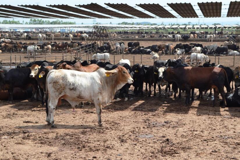 Ministerio-Agropecuario-5