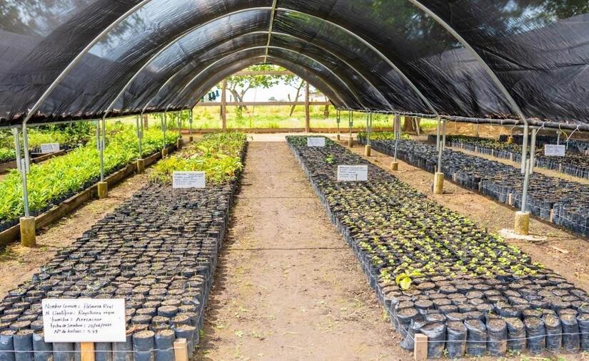 Viveros-del-Pueblo-10