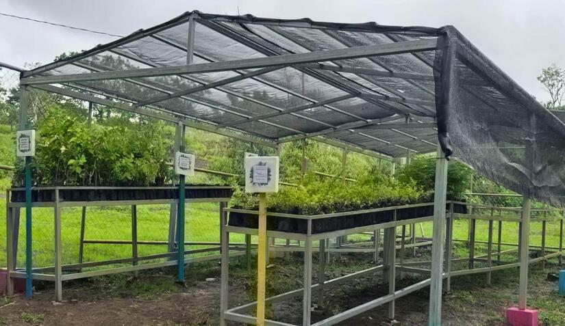 Viveros-del-Pueblo-11