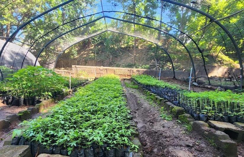 Viveros-del-Pueblo-13