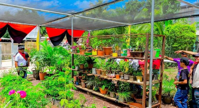 Viveros-del-Pueblo-15