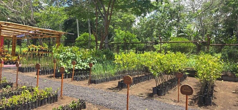 Viveros-del-Pueblo-2