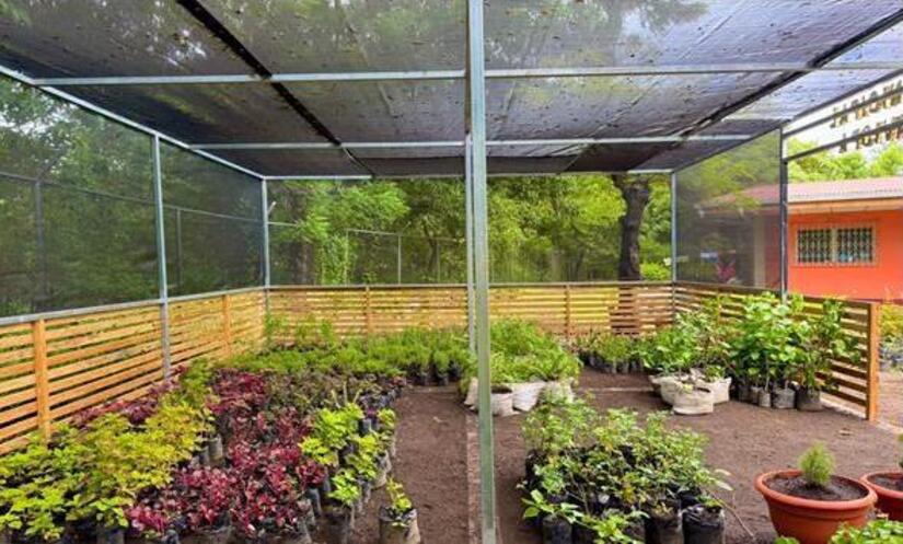 Viveros-del-Pueblo-3