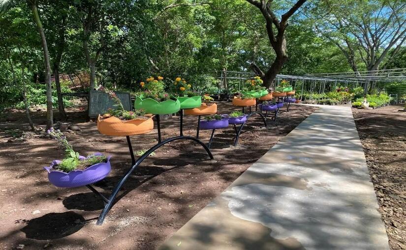 Viveros-del-Pueblo-5