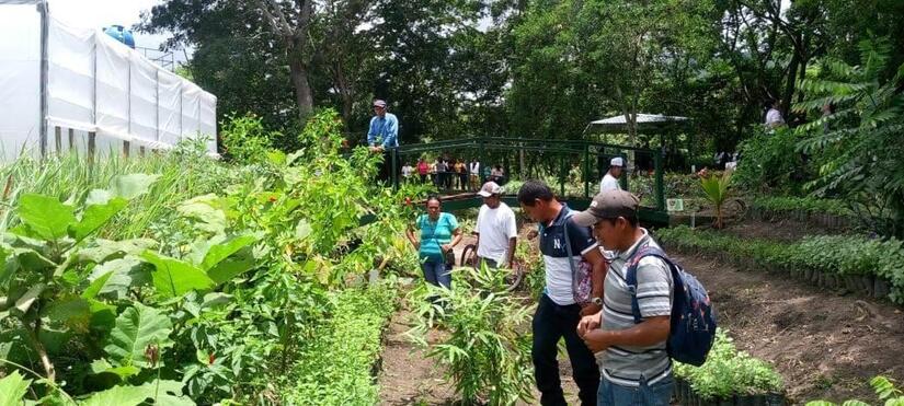 Viveros-del-Pueblo-8