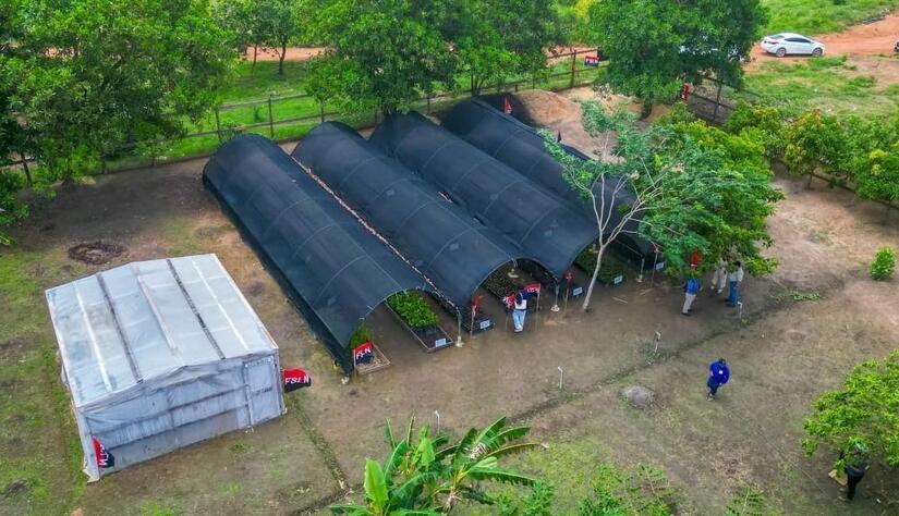 Viveros-del-Pueblo-9