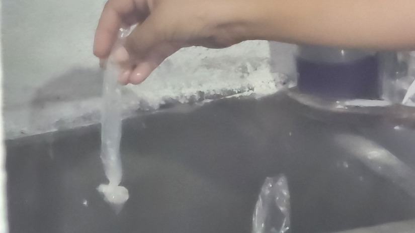 Brigasa-de-fumigacion-5