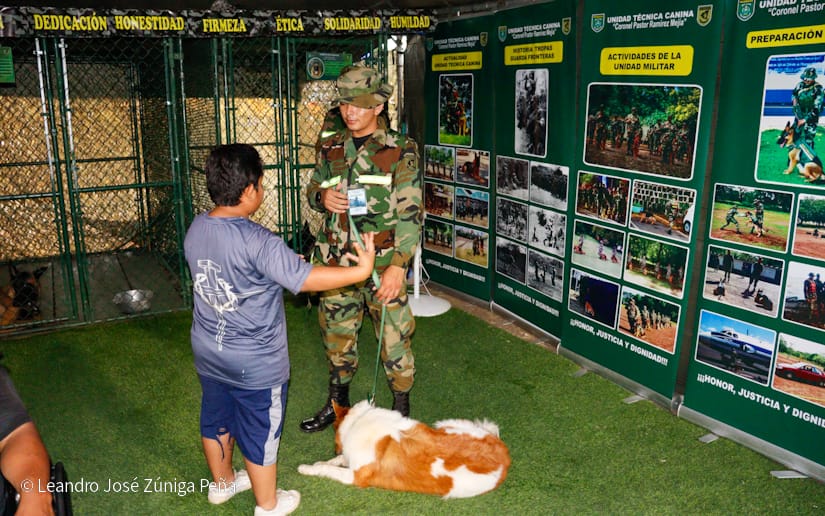 Exposicion-Ejercito-12