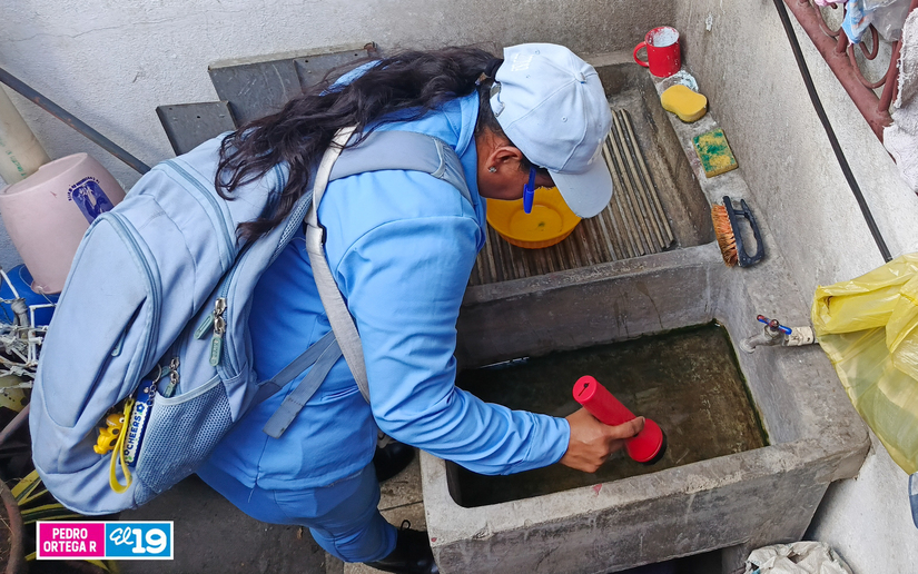 Fumigacion-en-LInda-Vista-3