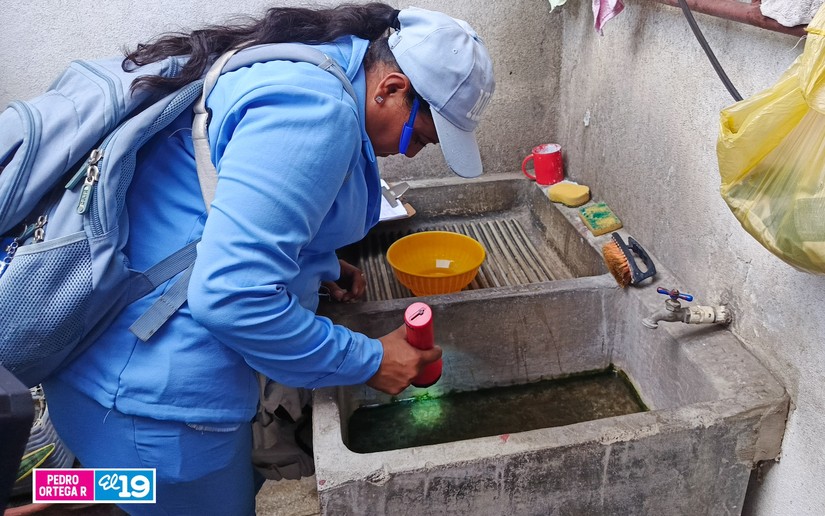 Fumigacion-en-LInda-Vista-4