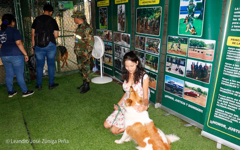 Exposicion-Ejercito-12