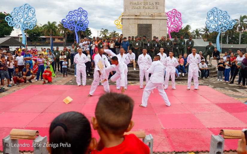 Exposicion-Ejercito-13