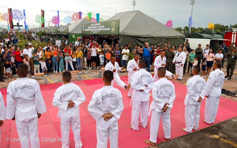 Exposicion-Ejercito-14