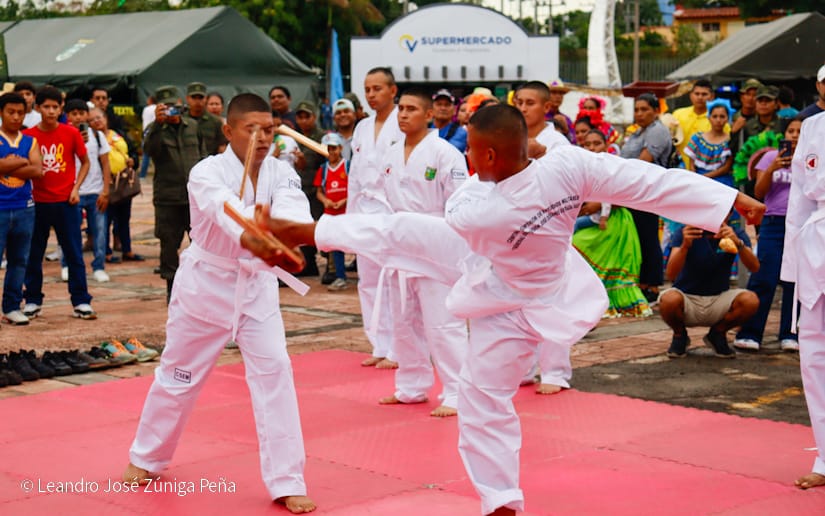 Exposicion-Ejercito-15