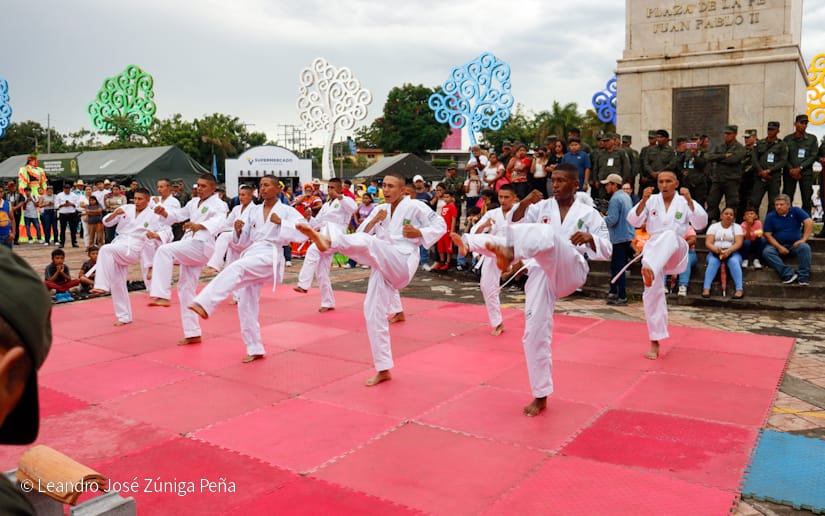 Exposicion-Ejercito-16