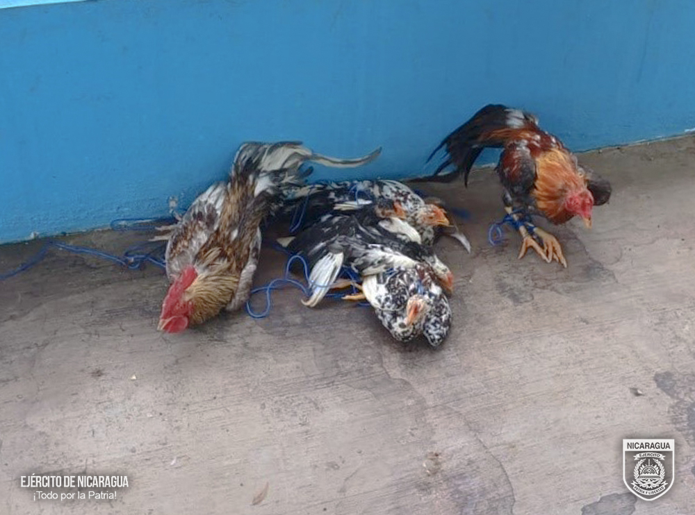 SERVICIOS-MILITARES2