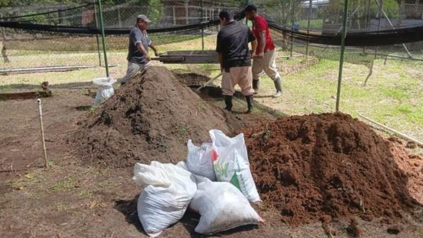 Viveros-en-Nicaragua-1