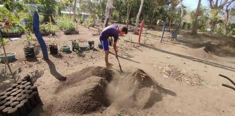 Viveros-en-Nicaragua-10