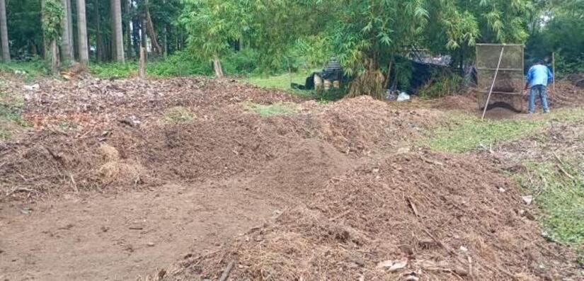 Viveros-en-Nicaragua-11