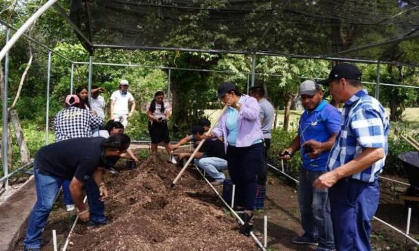 Viveros-en-Nicaragua-13