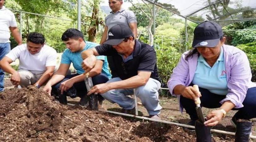 Viveros-en-Nicaragua-14