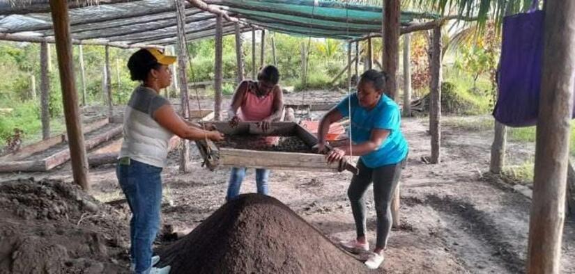 Viveros-en-Nicaragua-15