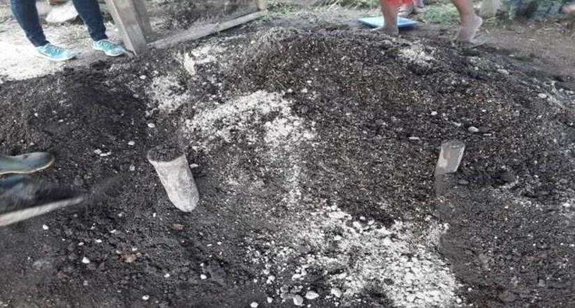 Viveros-en-Nicaragua-16