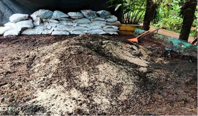 Viveros-en-Nicaragua-17