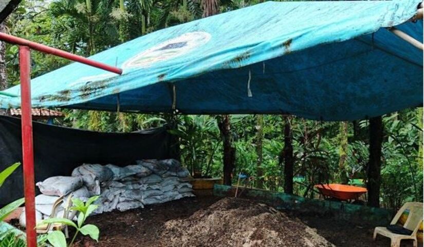 Viveros-en-Nicaragua-18