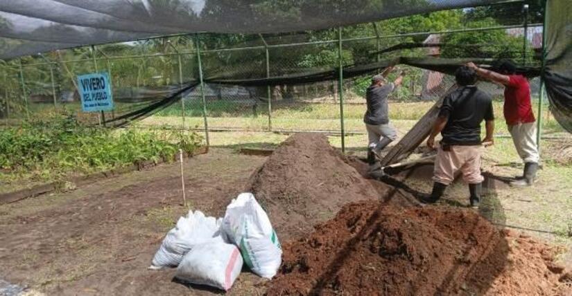 Viveros-en-Nicaragua-2