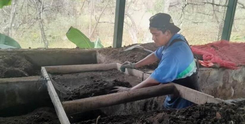 Viveros-en-Nicaragua-21