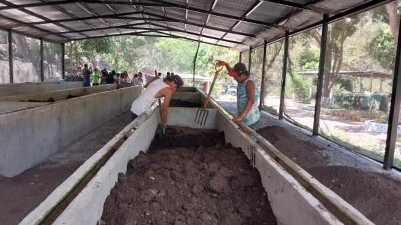 Viveros-en-Nicaragua-23