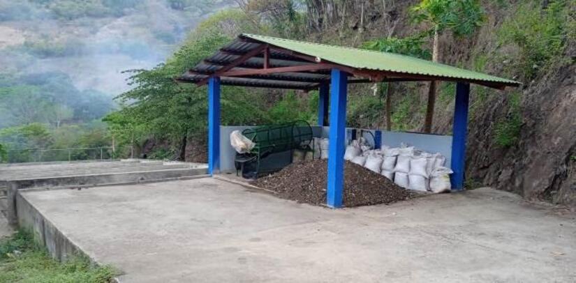 Viveros-en-Nicaragua-4