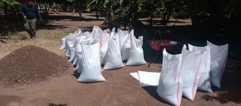 Viveros-en-Nicaragua-5