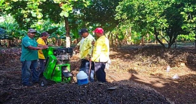 Viveros-en-Nicaragua-6